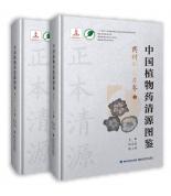 中國植物藥清源圖鑒&#8226;藥材和飲片卷（中國植物藥清源書系）